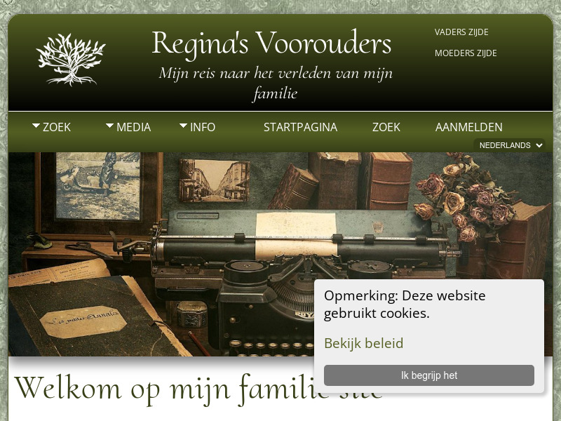 Screenshot van website